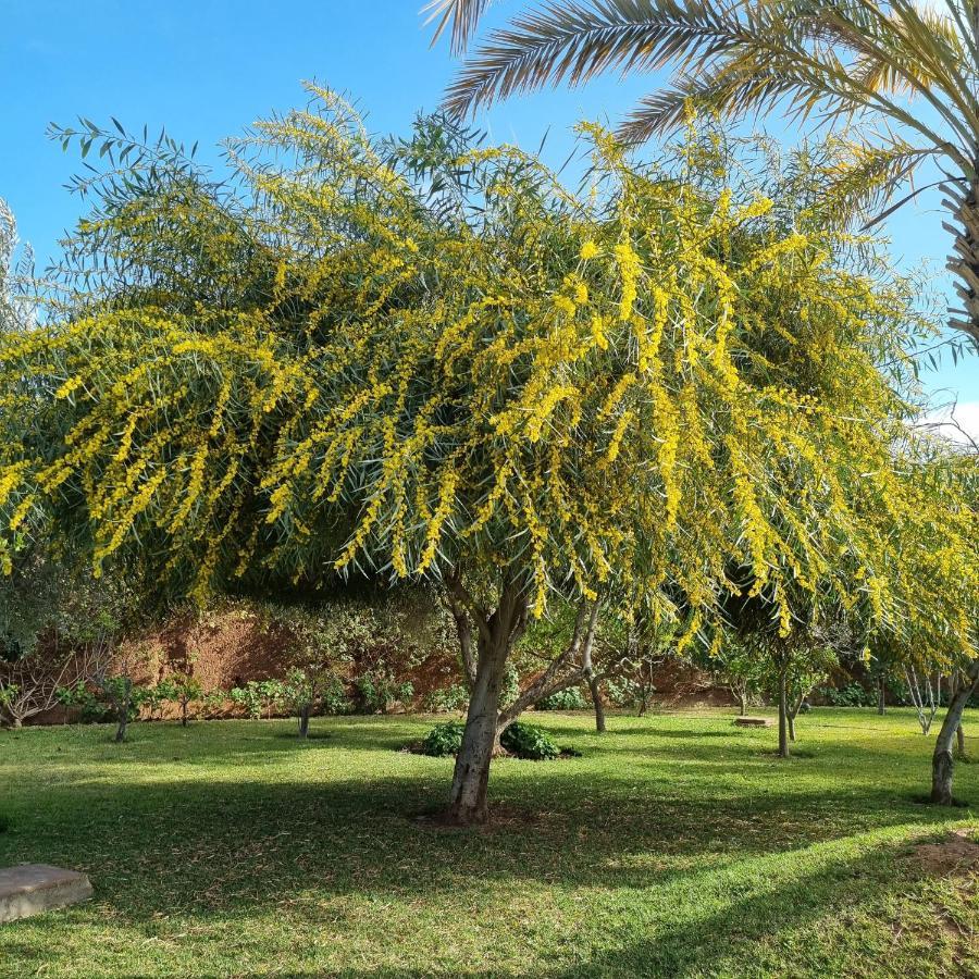 Riad Les Deux Citronniers Марракеш Экстерьер фото