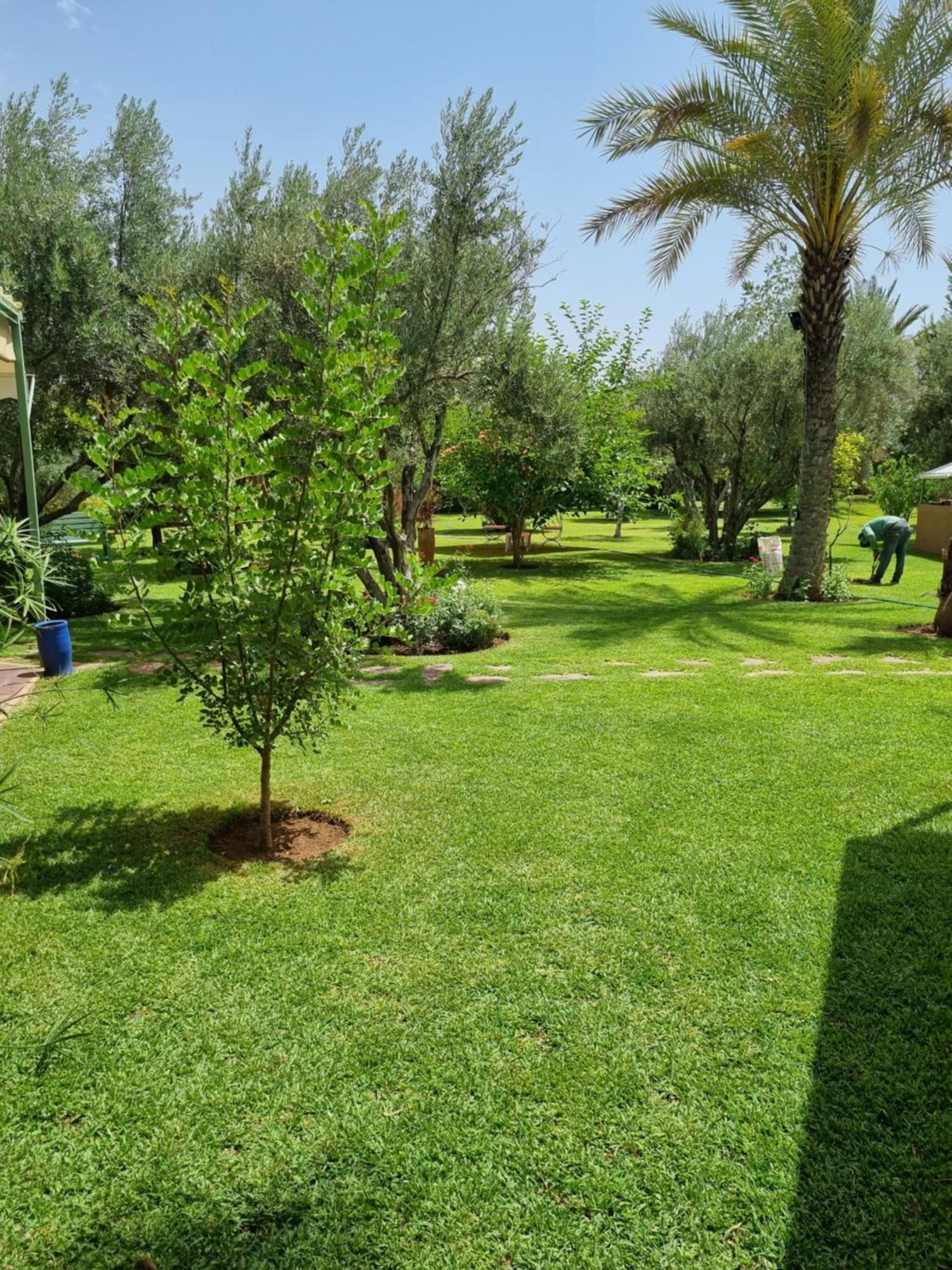 Riad Les Deux Citronniers Марракеш Номер фото